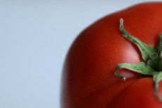 peeking-tomato1